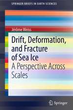 Drift, Deformation, and Fracture of Sea Ice: A Perspective Across Scales