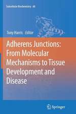 Adherens Junctions: from Molecular Mechanisms to Tissue Development and Disease