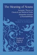 The Meaning of Nouns: Semantic Theory in Classical and Medieval India