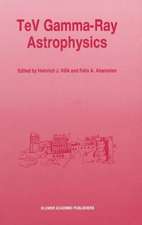 TeV Gamma-Ray Astrophysics: Theory and Observations Presented at the Heidelberg Workshop, October 3–7, 1994