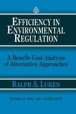 Efficiency in Environmental Regulation