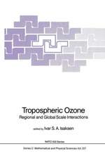 Tropospheric Ozone: Regional and Global Scale Interactions