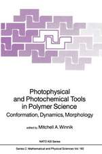 Photophysical and Photochemical Tools in Polymer Science: Conformation, Dynamics, Morphology