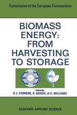 Biomass Energy: From Harvesting to Storage