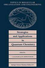 Strategies and Applications in Quantum Chemistry