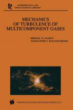 Mechanics of Turbulence of Multicomponent Gases