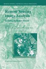 Remote Sensing Image Analysis: Including the Spatial Domain