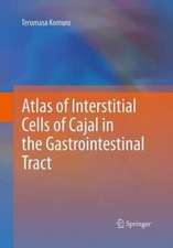 Atlas of Interstitial Cells of Cajal in the Gastrointestinal Tract