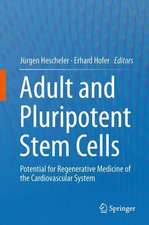 Adult and Pluripotent Stem Cells