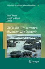 STROMATOLITES: Interaction of Microbes with Sediments