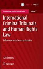 International Criminal Tribunals and Human Rights Law