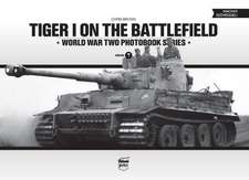 Tiger I on the Battlefield