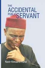 The Accidental Public Servant