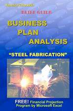 Business Plan Analysis for "Steel Fabrication": Brief Guide Business Plan