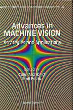 Advances in Machine Vision: Strategies and Applications