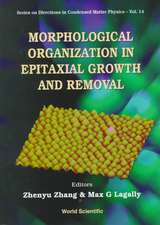 Morphological Organization in Epitaxial Growth and Removal