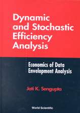 Dynamic and Stochastic Efficiency Analysis