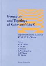 Geometry and Topology of Submanifolds X: Differential Geometry in Honor of Professor S S Chern