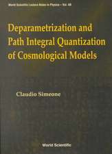 Deparametrization and Path Integral Quan