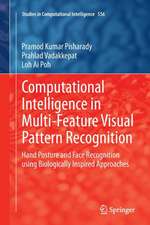 Computational Intelligence in Multi-Feature Visual Pattern Recognition