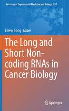 The Long and Short Non-coding RNAs in Cancer Biology