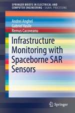 Infrastructure Monitoring with Spaceborne SAR Sensors