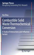 Combustible Solid Waste Thermochemical Conversion: A Study of Interactions and Influence Factors