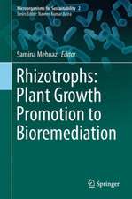 Rhizotrophs: Plant Growth Promotion to Bioremediation