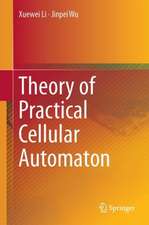 Theory of Practical Cellular Automaton