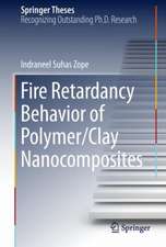 Fire Retardancy Behavior of Polymer/Clay Nanocomposites