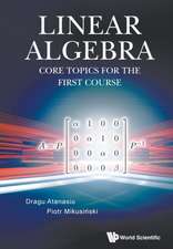 Linear Algebra: Core Topics for the First Course