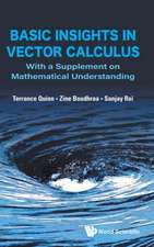 Basic Insights in Vector Calculus: With a Supplement on Mathematical Understanding