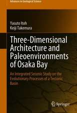 Three-Dimensional Architecture and Paleoenvironments of Osaka Bay