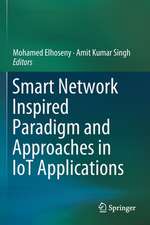 Smart Network Inspired Paradigm and Approaches in IoT Applications