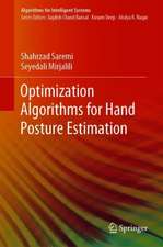 Optimisation Algorithms for Hand Posture Estimation
