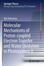 Molecular Mechanisms of Proton-coupled Electron Transfer and Water Oxidation in Photosystem II