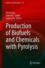 Production of Biofuels and Chemicals with Pyrolysis