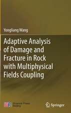 Adaptive Analysis of Damage and Fracture in Rock with Multiphysical Fields Coupling