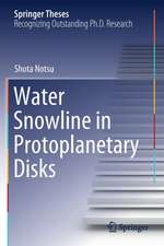 Water Snowline in Protoplanetary Disks