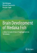 Brain Development of Medaka Fish: A New Concept of Brain Morphogenesis in Vertebrates