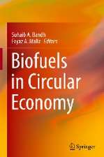 Biofuels in Circular Economy