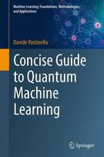 Concise Guide to Quantum Machine Learning