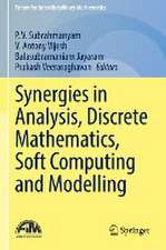 Synergies in Analysis, Discrete Mathematics, Soft Computing and Modelling