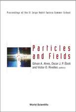 Particles and Fields: Proceedings of the XI Jorge Andre Swieca Summer School