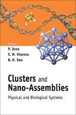 CLUSTERS & NANO-ASSEMBLIES