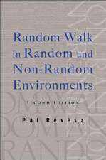 Random Walk in Random and Non-Random Environments (Second Edition)
