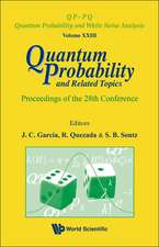 Quantum Probability and Related Topics: Proceedings of the 28th Conference