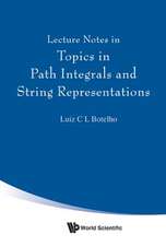 LECTURE NOTES IN TOPICS IN PATH INTEGRALS & STRING REPRESENT