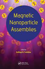 Magnetic Nanoparticle Assemblies