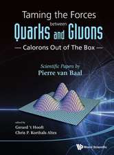 Taming the Forces Between Quarks and Gluons - Calorons Out of the Box